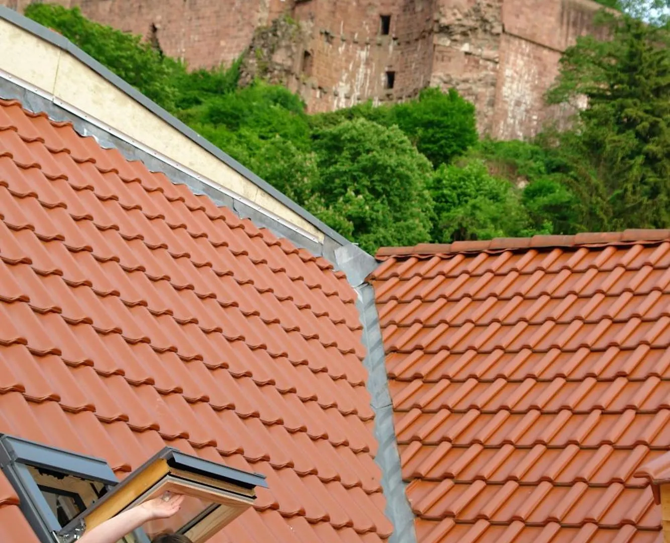 Ostello Lotte - The Backpackers Heidelberg Germania